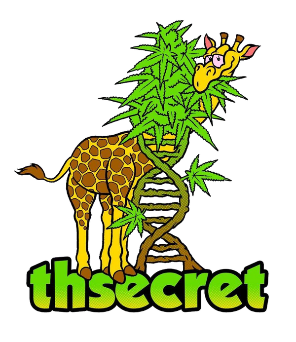 T.H.Secret420